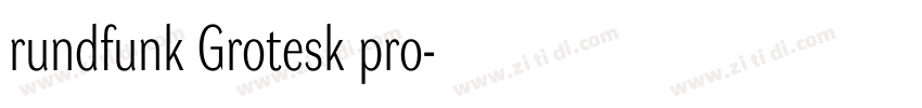rundfunk Grotesk pro字体转换